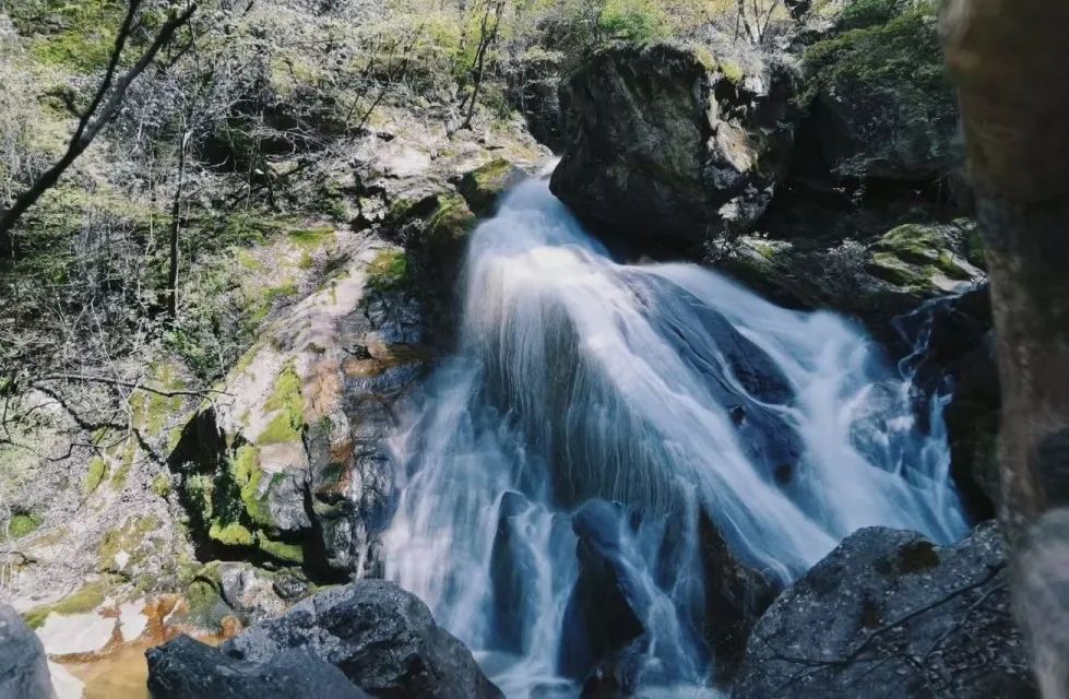 西安太平森林公园旅游攻略-太平森林攻略西安公园旅游(图27) 西安太平森林公园怎么样_太平森林攻略西安公园旅游_西安太平森林公园旅游攻略