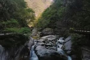 西安太平森林公园旅游攻略-太平森林攻略西安公园旅游(图28) 西安太平森林公园旅游攻略_太平森林攻略西安公园旅游_西安太平森林公园怎么样