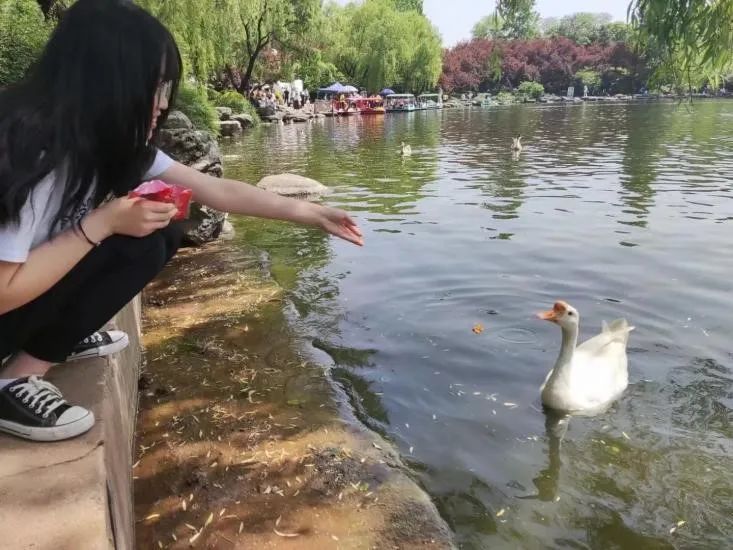 西安太平森林公园旅游攻略-太平森林攻略西安公园旅游(图41) 西安太平森林公园旅游攻略_太平森林攻略西安公园旅游_西安太平森林公园怎么样