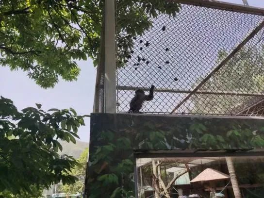 西安太平森林公园旅游攻略-太平森林攻略西安公园旅游(图43) 太平森林攻略西安公园旅游_西安太平森林公园怎么样_西安太平森林公园旅游攻略