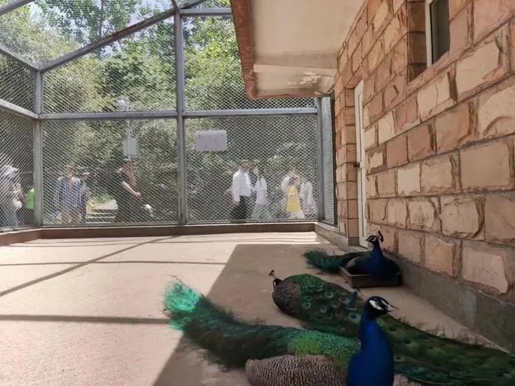 西安太平森林公园旅游攻略-太平森林攻略西安公园旅游(图44) 西安太平森林公园怎么样_太平森林攻略西安公园旅游_西安太平森林公园旅游攻略