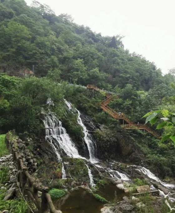 西安太平森林公园旅游攻略-太平森林攻略西安公园旅游(图45) 西安太平森林公园旅游攻略_太平森林攻略西安公园旅游_西安太平森林公园怎么样