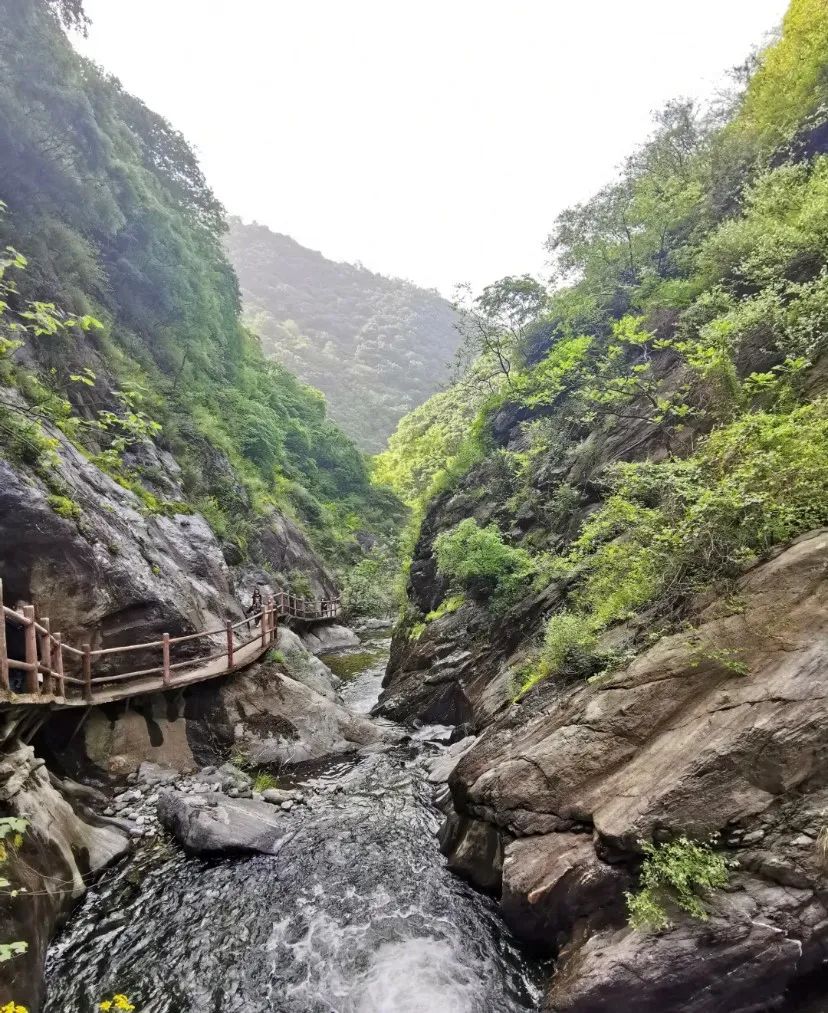 西安太平森林公园旅游攻略-太平森林攻略西安公园旅游(图46) 西安太平森林公园旅游攻略_太平森林攻略西安公园旅游_西安太平森林公园怎么样