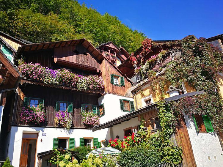 奥地利小镇旅游攻略-奥地利小镇开放时间(图4) 奥地利小镇属于哪个国家_奥地利小镇旅游攻略_奥地利小镇开放时间