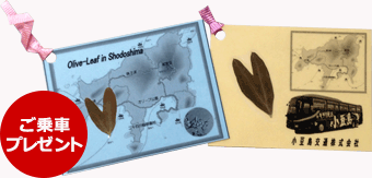 时尚魔女冬图片-魔女时装(图96) 魔女服装素材_时尚魔女冬图片_魔女时装