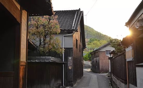 时尚魔女冬图片-魔女时装(图15) 时尚魔女冬图片_魔女时装_魔女服装素材