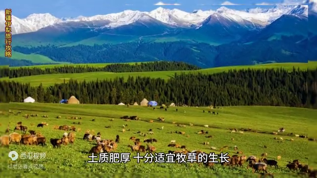 新疆伊犁旅游攻略-新疆伊犁旅游攻略必玩的景点(图3) 新疆伊犁旅游攻略_伊犁攻略新疆旅游线路_新疆伊犁旅游攻略必玩的景点