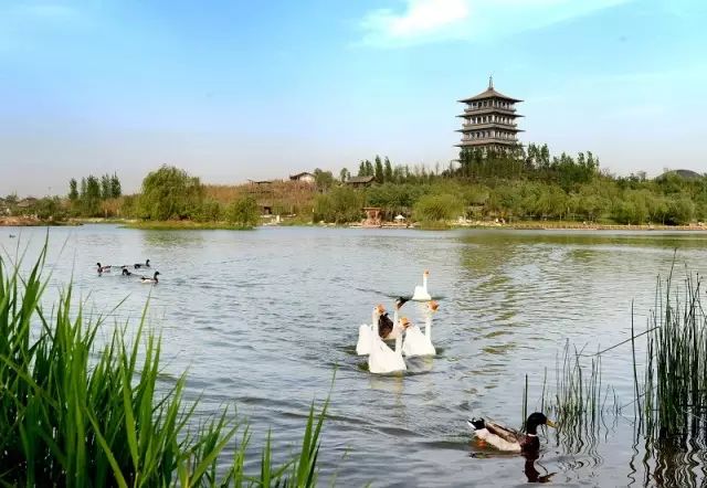 西安太平森林公园旅游攻略-西安太平森林公园怎么样(图4) 西安太平森林公园怎么样_西安太平森林公园旅游攻略_西安太平森林公园好玩吗