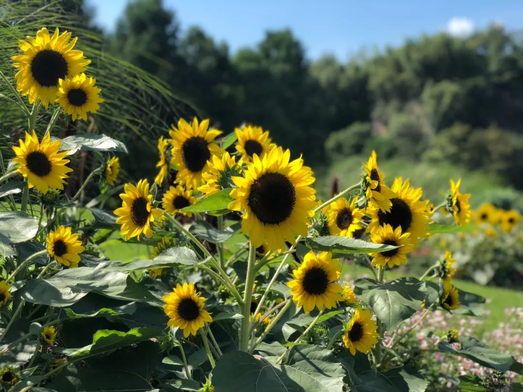 上海 佘山旅游攻略-上海佘山游玩攻略(图8) 上海佘山游玩攻略_上海 佘山旅游攻略_上海攻略旅游佘山路线