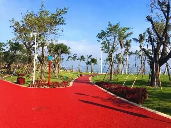 霞涌黄金海岸旅游攻略-霞涌黄金海岸图片(图25) 霞涌黄金海岸旅游攻略_霞涌黄金海岸有什么好玩的_霞涌黄金海岸图片