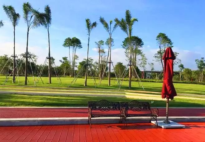 霞涌黄金海岸旅游攻略-霞涌黄金海岸图片(图26) 霞涌黄金海岸图片_霞涌黄金海岸旅游攻略_霞涌黄金海岸有什么好玩的