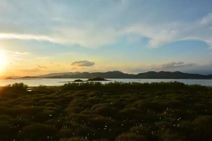 霞涌黄金海岸旅游攻略-霞涌黄金海岸图片(图31) 霞涌黄金海岸图片_霞涌黄金海岸有什么好玩的_霞涌黄金海岸旅游攻略