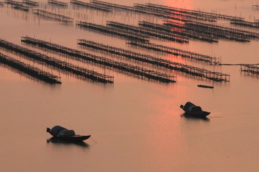 霞涌黄金海岸旅游攻略-霞涌黄金海岸图片(图32) 霞涌黄金海岸旅游攻略_霞涌黄金海岸有什么好玩的_霞涌黄金海岸图片