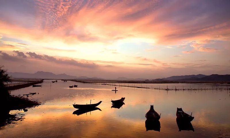 霞涌黄金海岸旅游攻略-霞涌黄金海岸图片(图33) 霞涌黄金海岸旅游攻略_霞涌黄金海岸图片_霞涌黄金海岸有什么好玩的