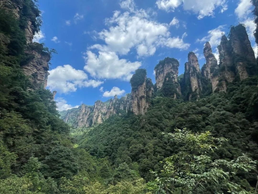 武陵源游览攻略_武陵源攻略自助游攻略_武陵源旅游攻略