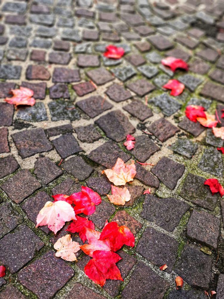 奥地利小镇门票多少钱_奥地利小镇旅游攻略_奥地利小镇开放时间