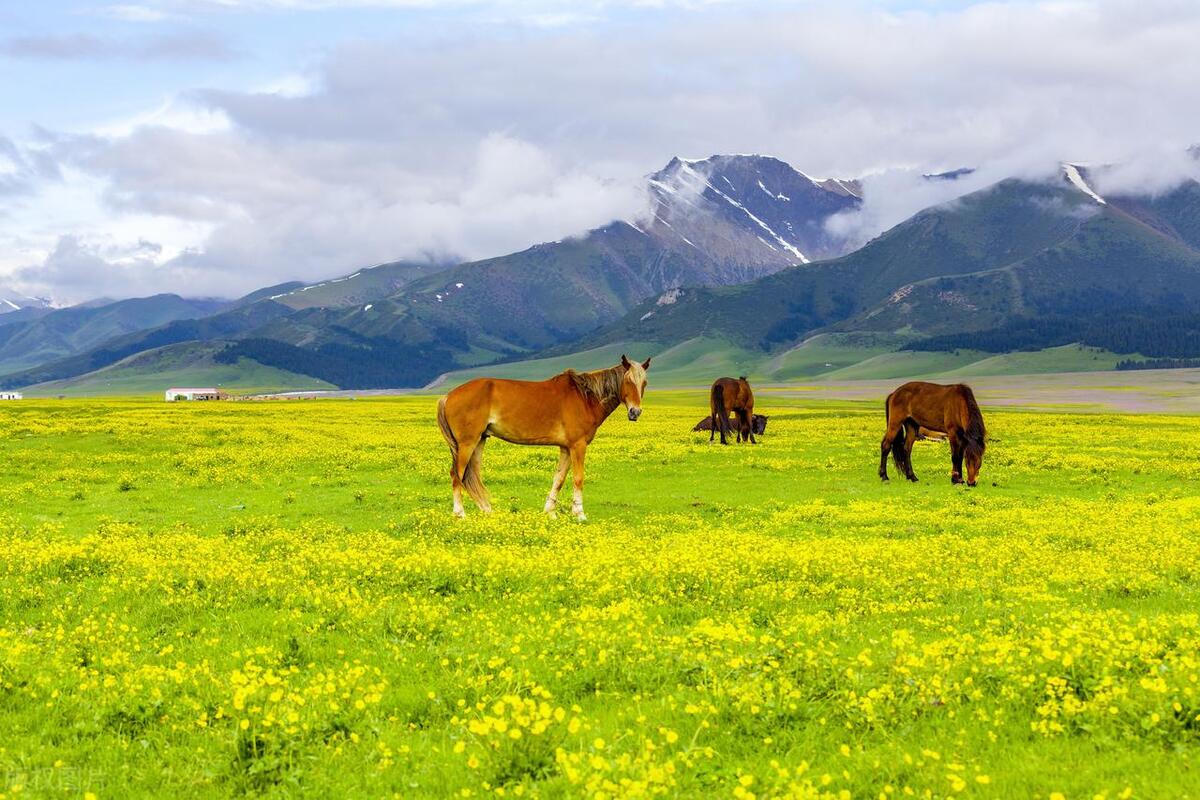 新疆伊犁旅游攻略_新疆伊犁旅游攻略必玩的景点_新疆伊犁旅游线路