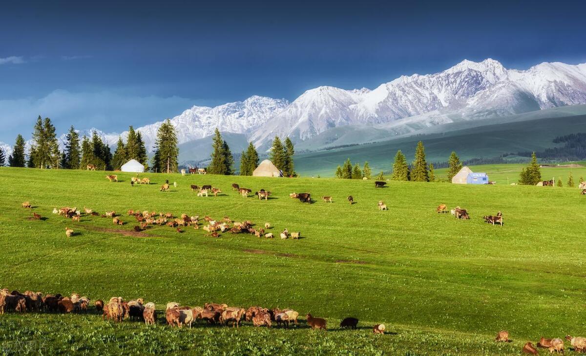 新疆伊犁旅游攻略必玩的景点_新疆伊犁旅游线路_新疆伊犁旅游攻略