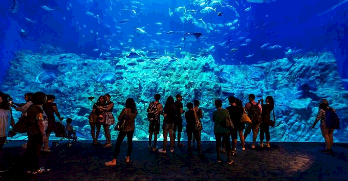 海洋公园推荐_海洋公园旅游攻略_海洋攻略公园旅游路线