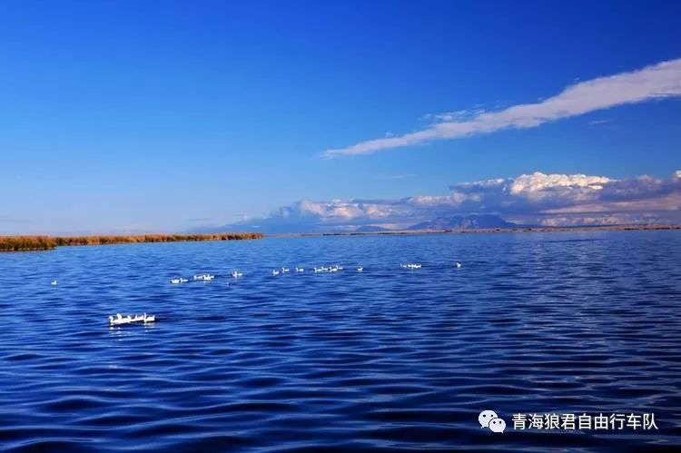 金银滩景区_金银滩实拍_金银滩旅游攻略