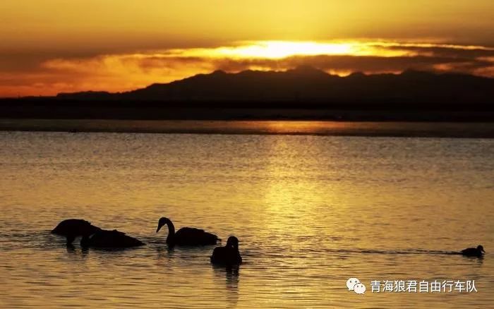 金银滩景区_金银滩旅游攻略_金银滩实拍