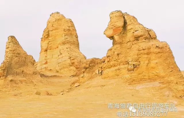 金银滩旅游攻略_金银滩景区_金银滩实拍