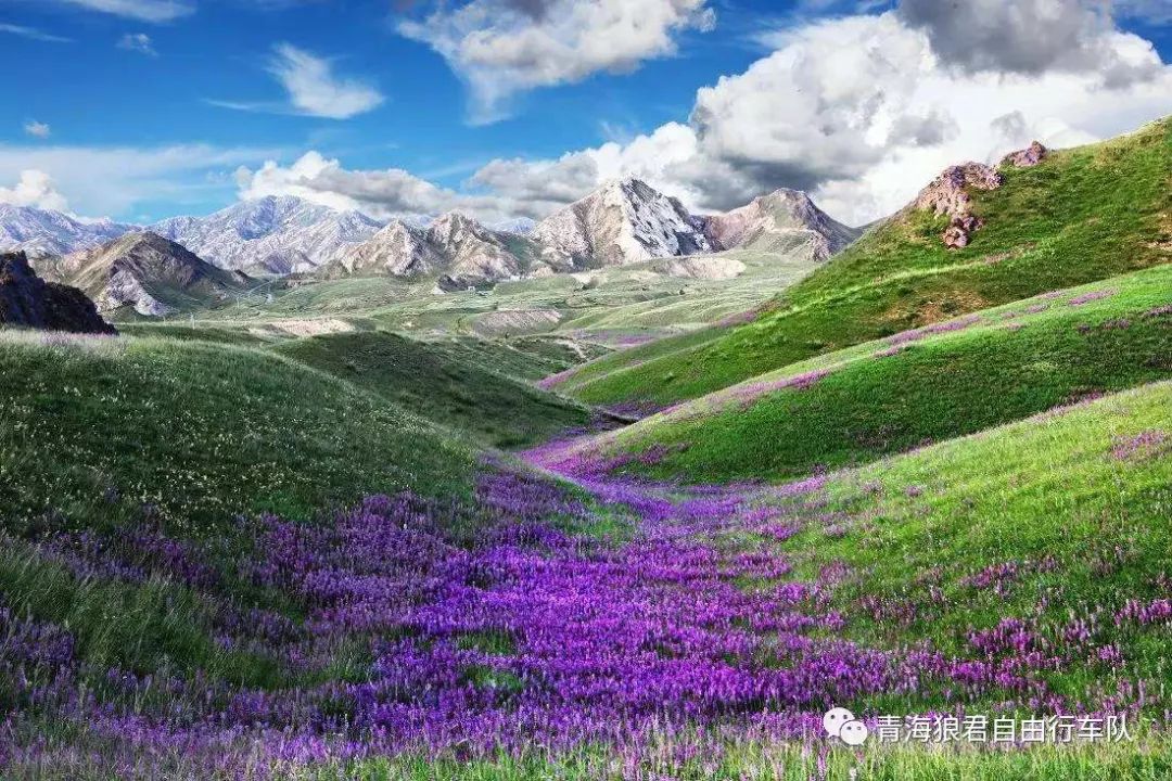 金银滩旅游攻略_金银滩实拍_金银滩景区