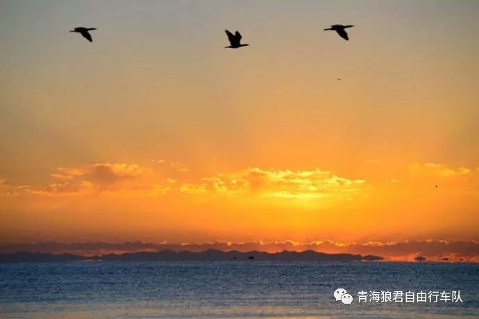 金银滩实拍_金银滩景区_金银滩旅游攻略