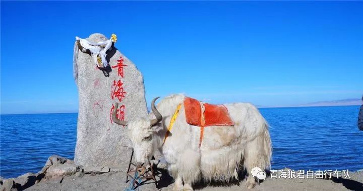 金银滩旅游攻略_金银滩景区_金银滩实拍