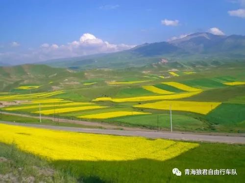 金银滩景区_金银滩旅游攻略_金银滩实拍