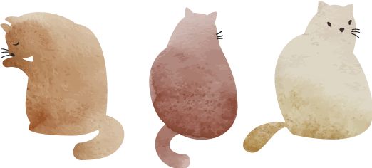 金银滩实拍_金银滩旅游攻略_金银滩景区