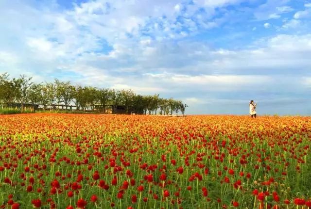 金银滩旅游攻略-金银滩景区(图11) 金银滩海滩_金银滩景区_金银滩旅游攻略