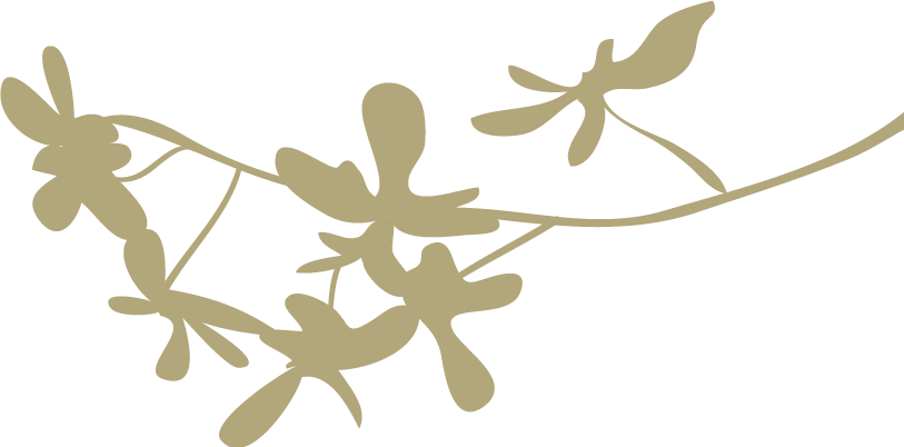 金银滩旅游攻略-金银滩景区(图15) 金银滩景区_金银滩旅游攻略_金银滩海滩