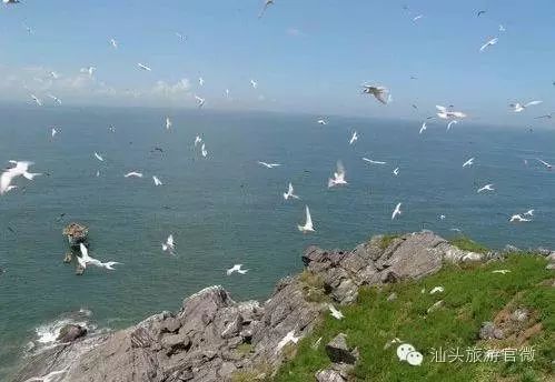 汕头南澳岛一日游最佳路线图_汕头南澳岛旅游攻略_汕头旅游景点南澳岛