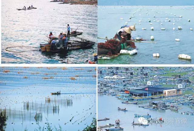 汕头旅游景点南澳岛_汕头南澳岛一日游最佳路线图_汕头南澳岛旅游攻略