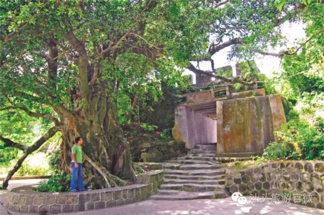 汕头南澳岛一日游最佳路线图_汕头南澳岛旅游攻略_汕头旅游景点南澳岛