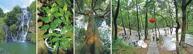 汕头南澳岛旅游攻略_汕头旅游景点南澳岛_汕头南澳岛一日游最佳路线图