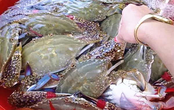 汕头岛攻略南澳旅游_汕头旅游景点南澳岛_汕头南澳岛旅游攻略