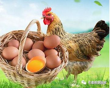 印尼苏拉威西地图_印尼苏拉威西岛疫情最新消息_印尼苏拉威西自由行旅游攻略