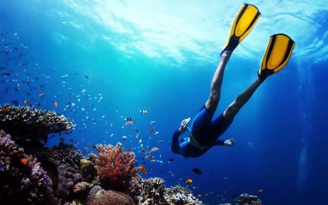 印尼苏拉威西地图_印尼苏拉威西岛疫情最新消息_印尼苏拉威西自由行旅游攻略