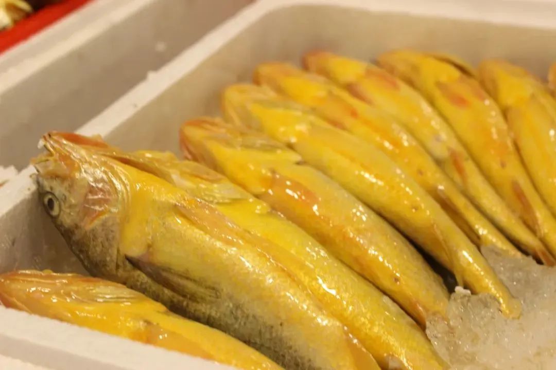 浙江象山石浦旅游指点_象山石浦一日游_象山石浦旅游攻略美食