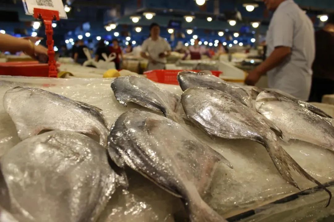 浙江象山石浦旅游指点_象山石浦旅游攻略美食_象山石浦一日游