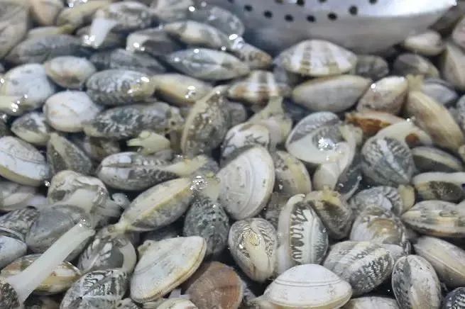 象山石浦旅游攻略美食_象山石浦一日游_浙江象山石浦旅游指点