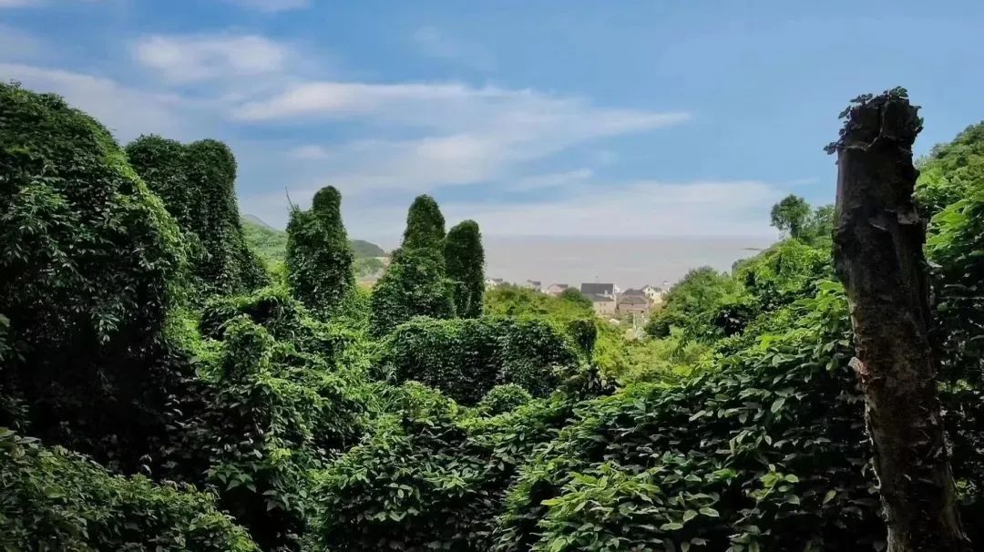 象山石浦一日游_浙江象山石浦旅游指点_象山石浦旅游攻略美食