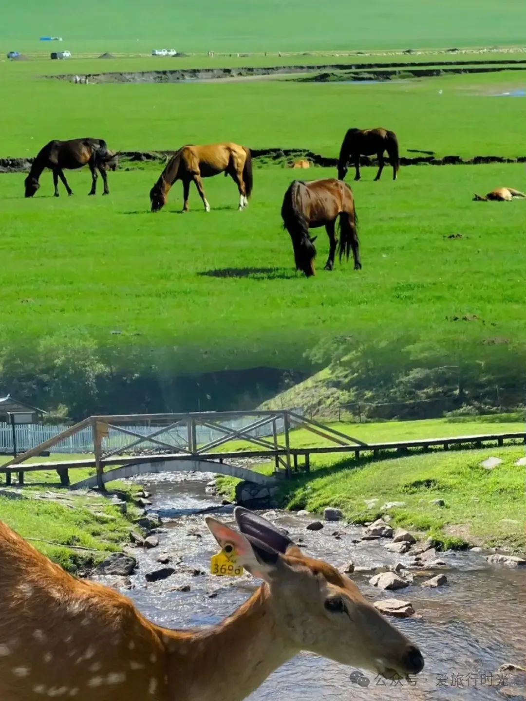 黑龙江五一出游攻略_五一黑龙江旅游攻略_五一黑龙江旅游景点