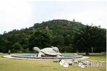 汕头南澳岛旅游攻略_汕头岛攻略南澳旅游景点_汕头旅游景点南澳岛