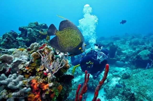 印尼苏拉威西岛最新疫情_印尼苏拉威西岛疫情最新消息_印尼苏拉威西自由行旅游攻略