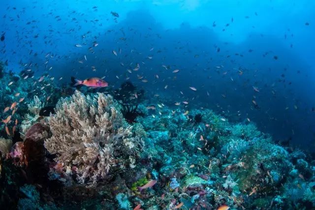 印尼苏拉威西岛疫情最新消息_印尼苏拉威西岛最新疫情_印尼苏拉威西自由行旅游攻略