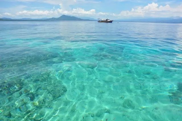 印尼苏拉威西岛最新疫情_印尼苏拉威西自由行旅游攻略_印尼苏拉威西岛疫情最新消息