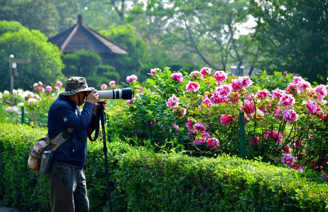 洛阳青天河好玩吗_洛阳到青天河风景区旅游攻略_青天河洛阳旅游年票能用吗